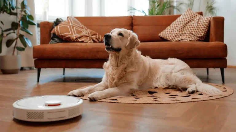 Ultimate Guide: How to Clean Dog Toys Without Harmful Chemicals Safely