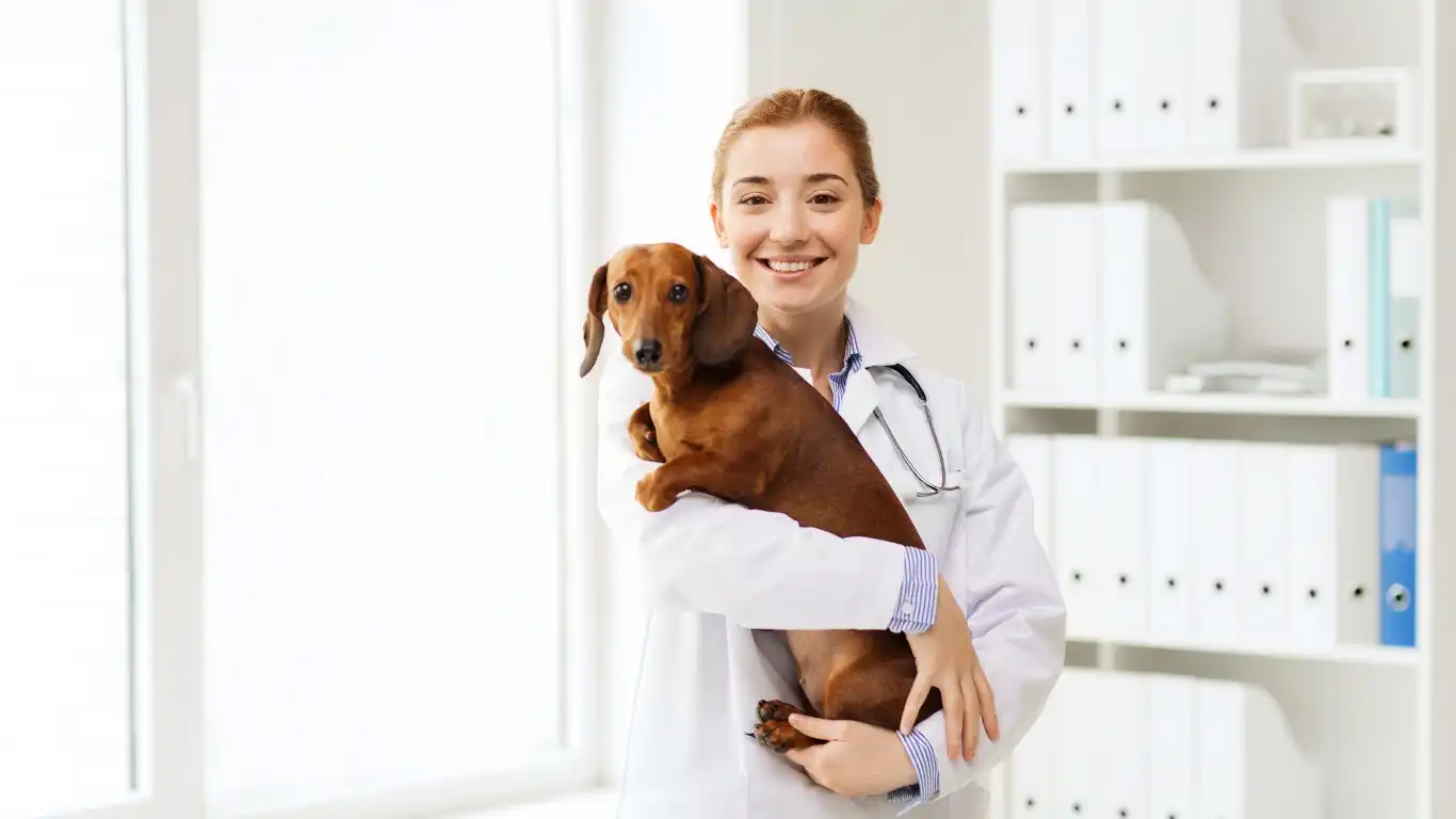 Avoiding bacteria build-up in dog bowls