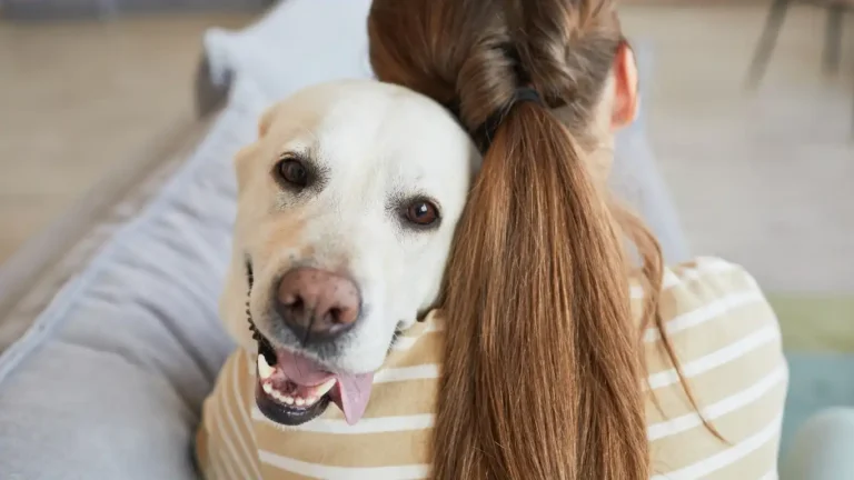 Help! What to Do If Your Dog Is Terrified of Thunderstorms