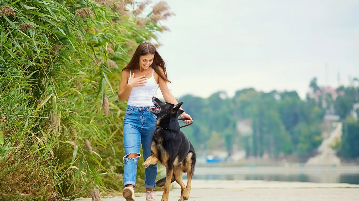 Dog showing playful behavior vs aggressive stance