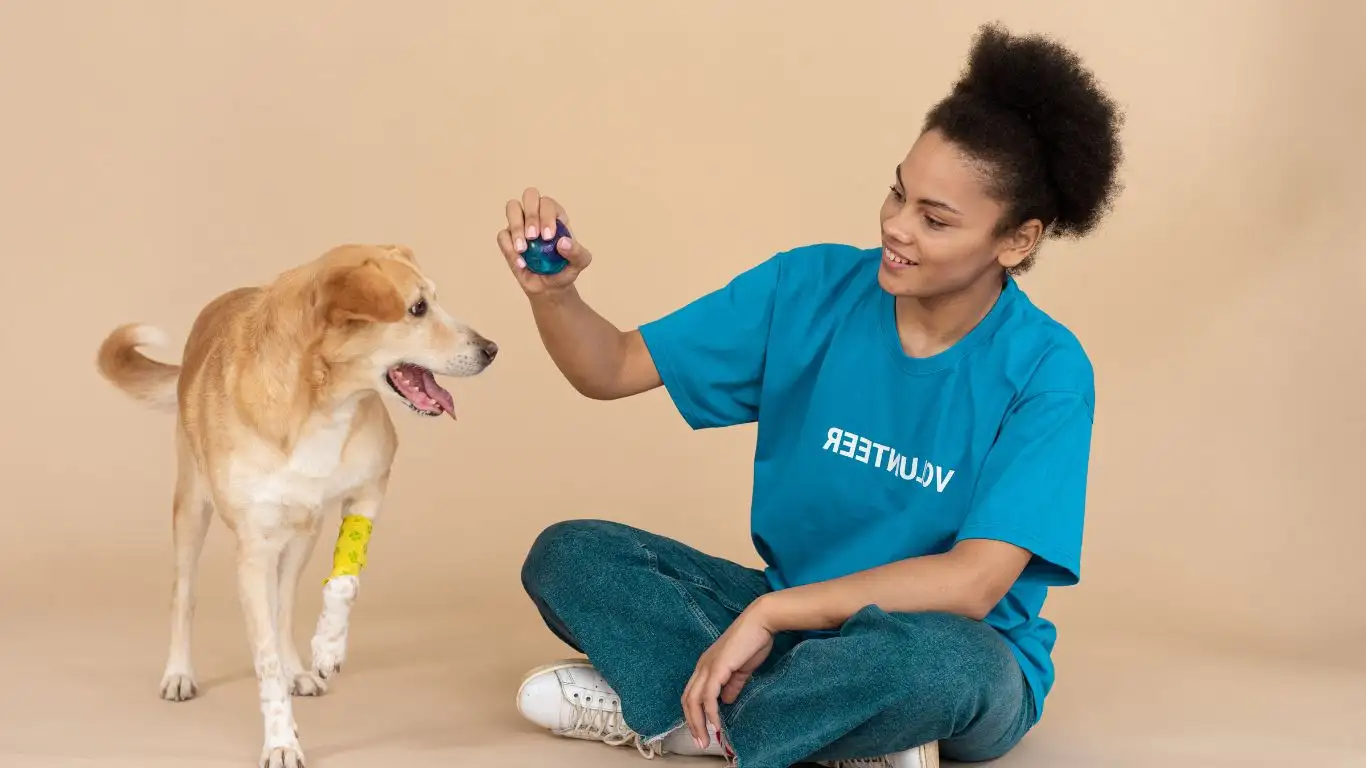 Trainer demonstrating hand signals with a dog