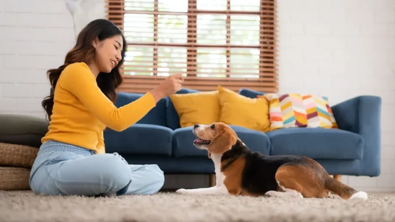 Master How to Train a Dog to Respond to Hand Signals Fast!