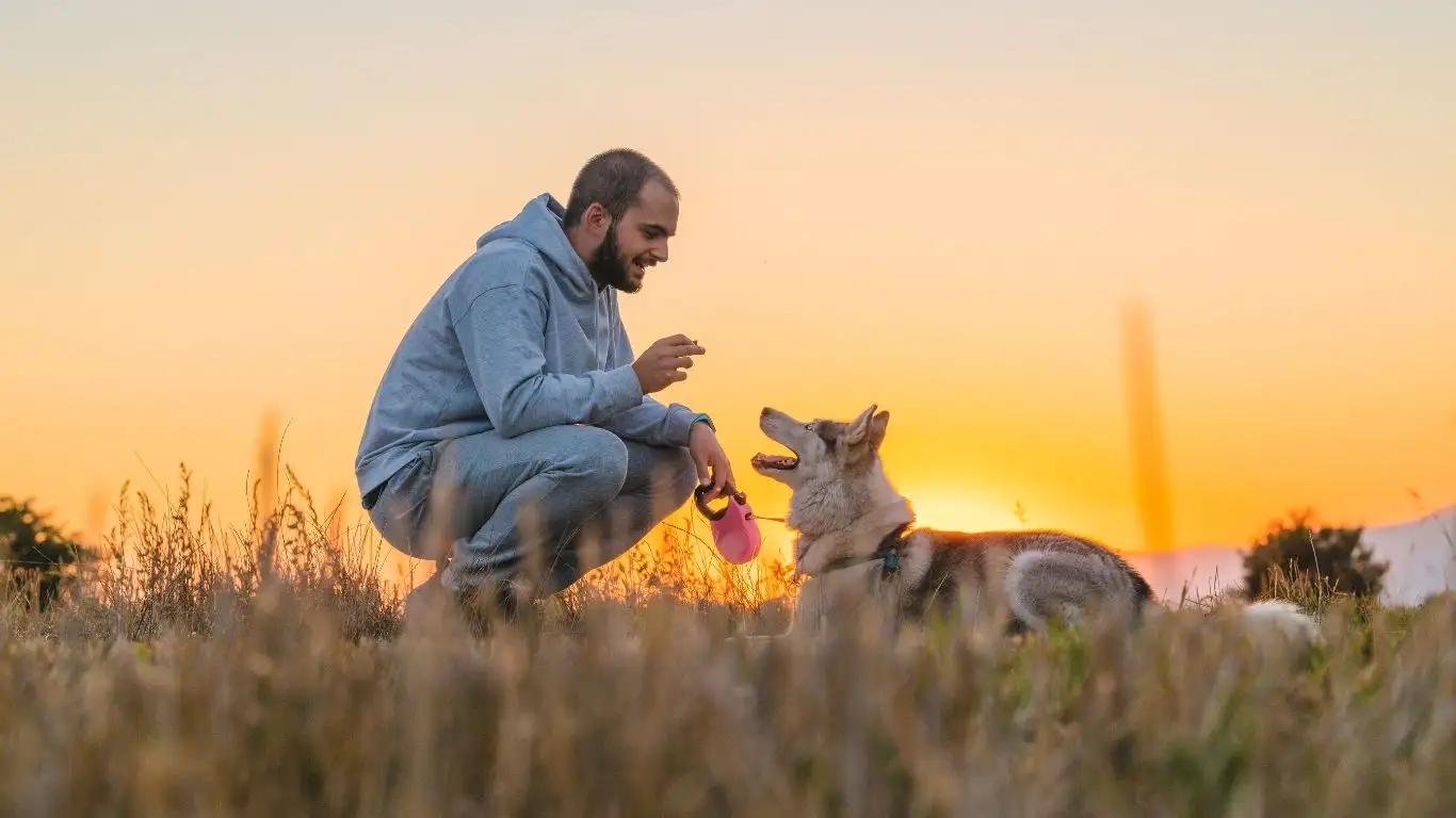 Dog pulling on leash during a walk