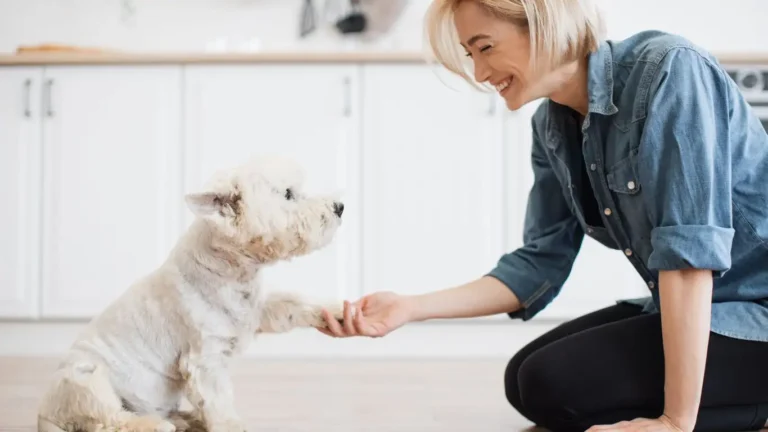 Stop Your Dog’s Attention-Seeking Whining Fast – Proven Training Tips